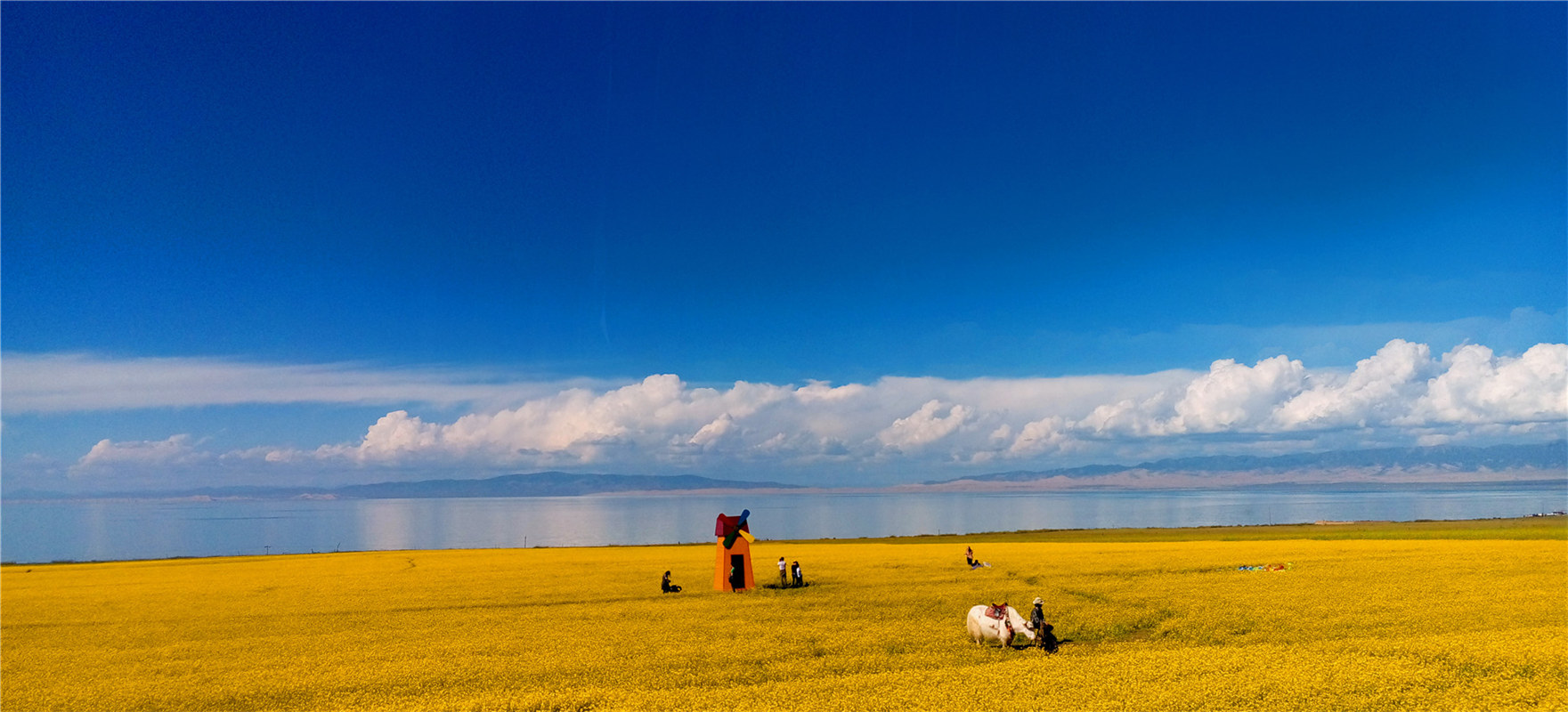 《大美青?！穭㈤?/>
                                    <div   id=