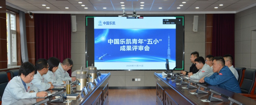 激揚(yáng)青春智造力！中國(guó)樂(lè)凱團(tuán)委召開(kāi)青年&ldquo;五小&rdquo;成果評(píng)審會(huì)